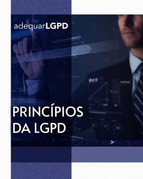 PRINCIPIOS DA LGPD